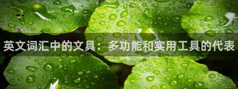 彩名堂为啥又不能用了：英文词汇中的文具：