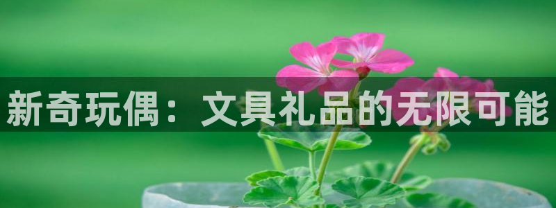 彩名堂二维码：新奇玩偶：文具礼品的无限可