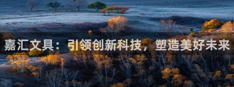 彩名堂客户端是永久免费吗：嘉汇文具：引领