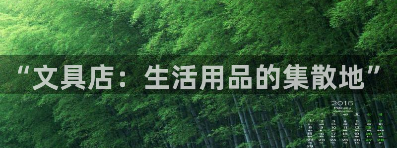 彩名堂计划最新版手机版：“文具店：生活用