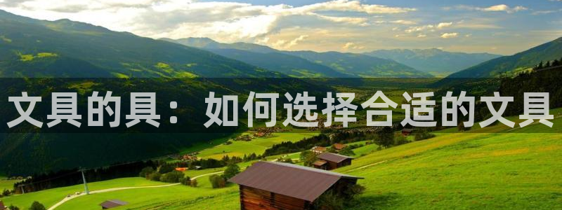 彩名堂手机版官网：文具的具：如何选择合适