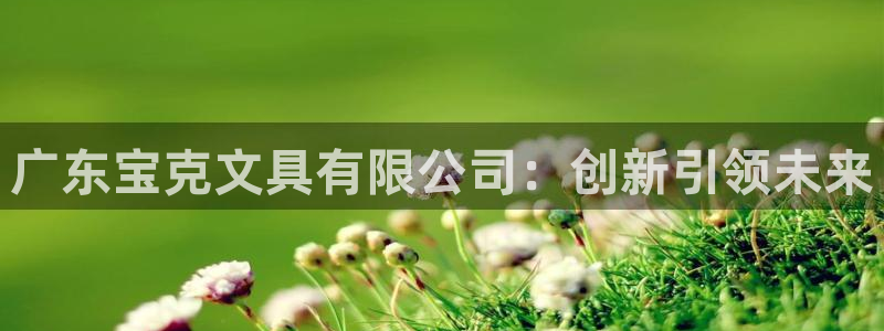 彩名堂计划技巧有哪些：广东宝克文具有限公