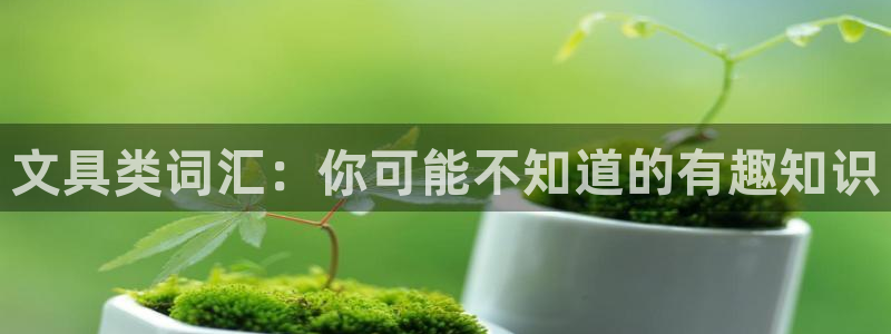 彩名堂预测官网：文具类词汇：你可能不知道