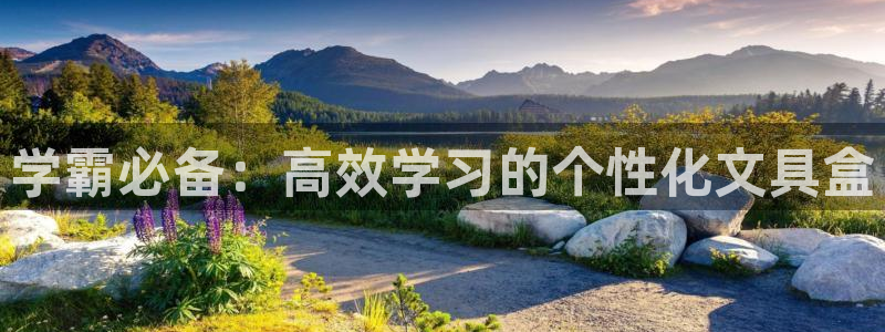 彩名堂下载官网：学霸必备：高效学习的个性