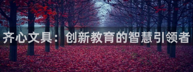 彩名堂怎么用不输：齐心文具：创新教育的智