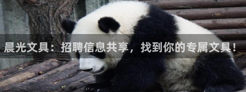 彩名堂为什么打不开：晨光文具：招聘信息共