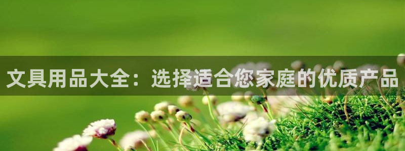 彩名堂怎么打不开了：文具用品大全：选择适