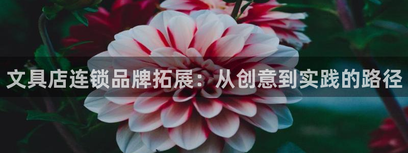 彩名堂怎么用不输：文具店连锁品牌拓展：从