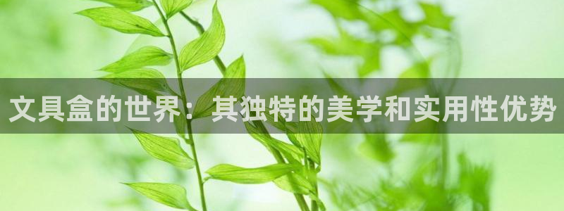 彩名堂图片：文具盒的世界：其独特的美学和