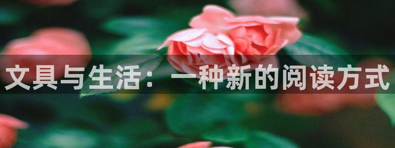 彩名堂怎么用不输：文具与生活：一种新的阅