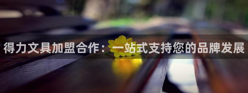 彩名堂改名稻草人了吗知乎：得力文具加盟合