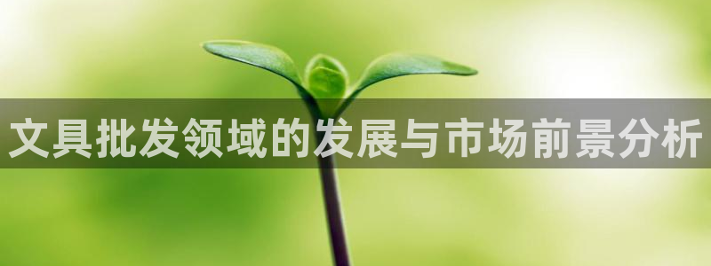 彩名堂人工计划客户端官网：文具批发领域的