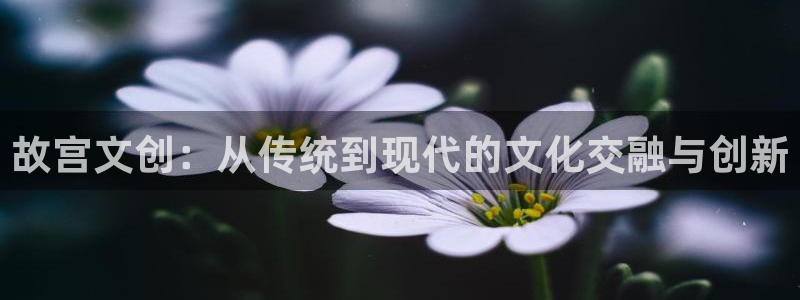 彩名堂：故宫文创：从传统到现代的文化交融