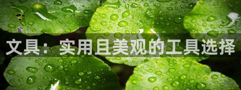 彩名堂移动客户端：文具：实用且美观的工具
