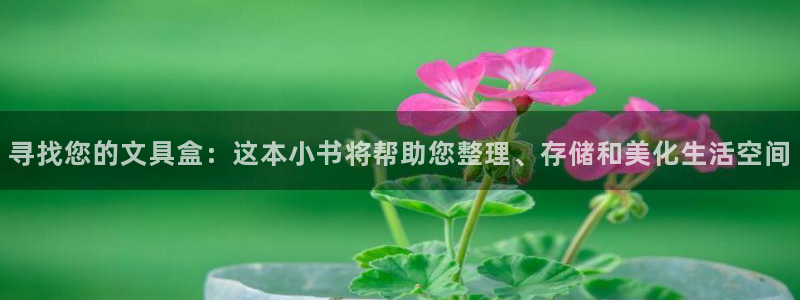 彩名堂一直不出结果怎么回事儿：寻找您的文