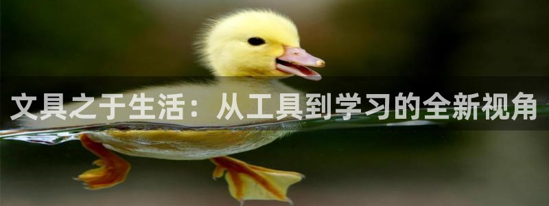 彩名堂官方软件下载：文具之于生活：从工具