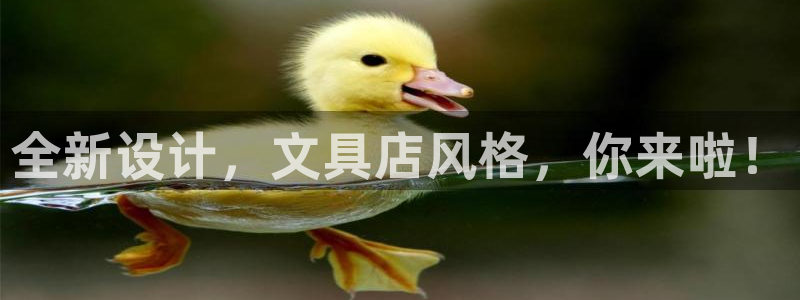 彩名堂苹果客户端：全新设计，文具店风格，