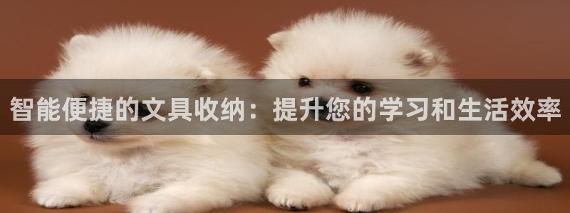 彩名堂改名稻草人了吗是真的吗：智能便捷的