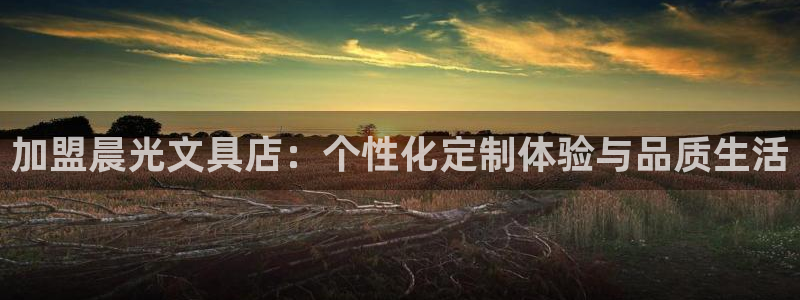 彩名堂计划怎么出的：加盟晨光文具店：个性