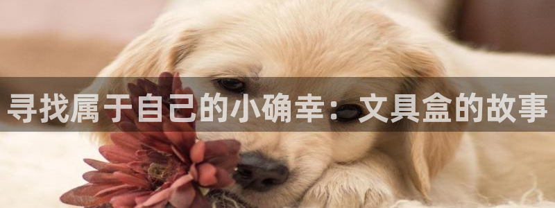 彩名堂苹果客户端怎么下载：寻找属于自己的