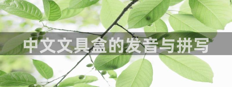 彩名堂客户端是永久免费吗安全吗知乎：中文