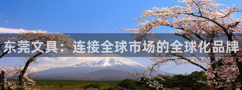 彩名堂怎么用不输：东莞文具：连接全球市场