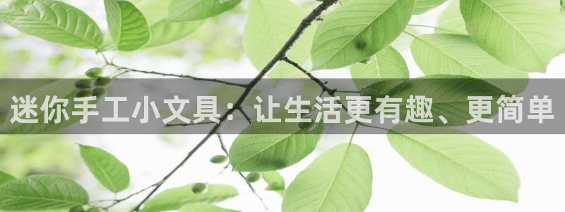 彩名堂免费计划官网怎么进不去了呀：迷你手