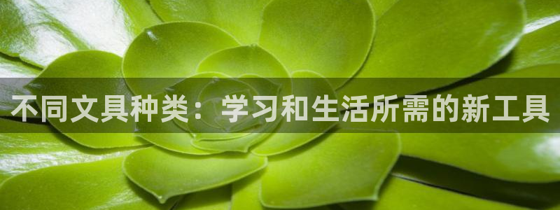 彩名堂改名稻草人了吗是真的吗：不同文具种