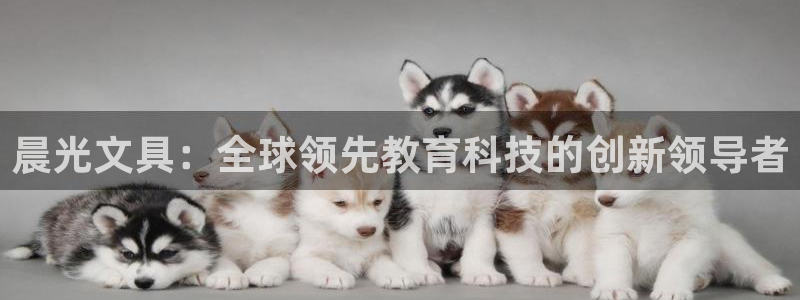 彩名堂开奖结果查询：晨光文具：全球领先教