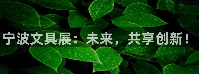 彩名堂免费计划5.0使用方法：宁波文具展