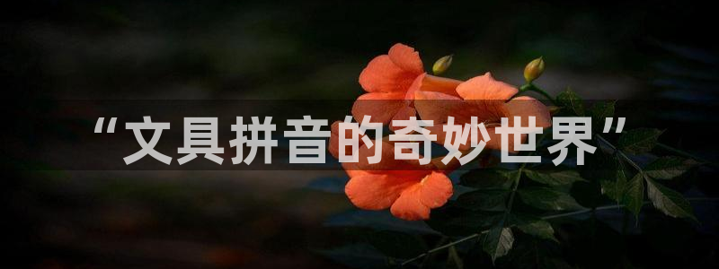 彩名堂怎么打不开了：“文具拼音的奇妙世界