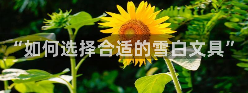 彩名堂免费计划官网购彩计划：“如何选择合