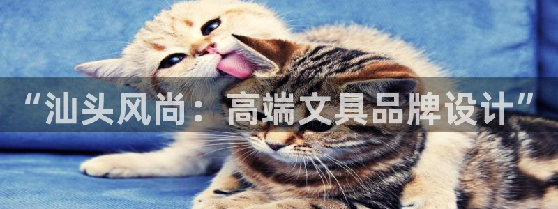 彩名堂计划官网客户端：“汕头风尚：高端文