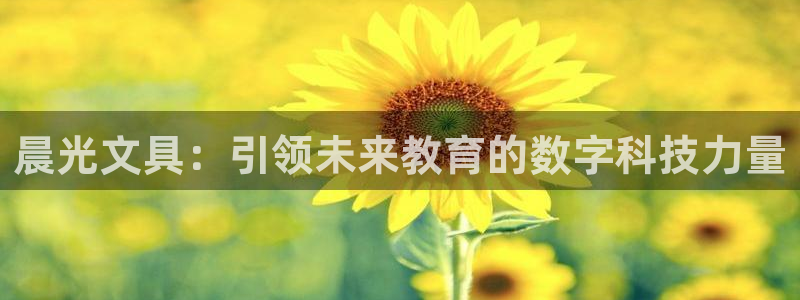 彩名堂官网谁有：晨光文具：引领未来教育的