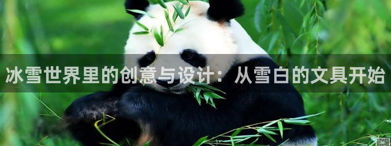 彩名堂免费计划官网购彩计划：冰雪世界里的