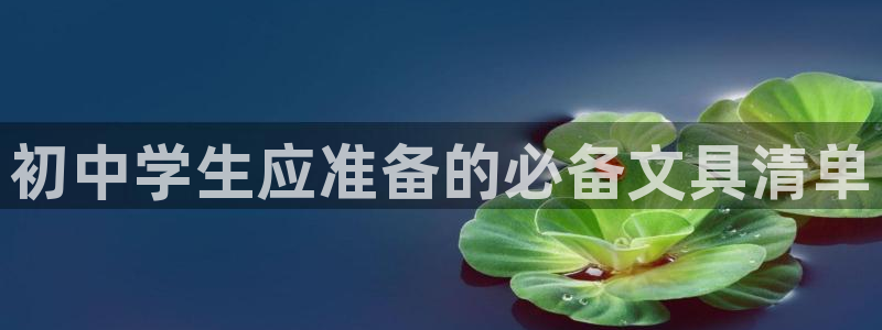 彩名堂.netnet：初中学生应准备的必