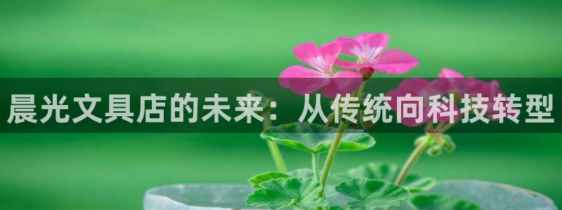 彩名堂手机客户端怎么下载：晨光文具店的未