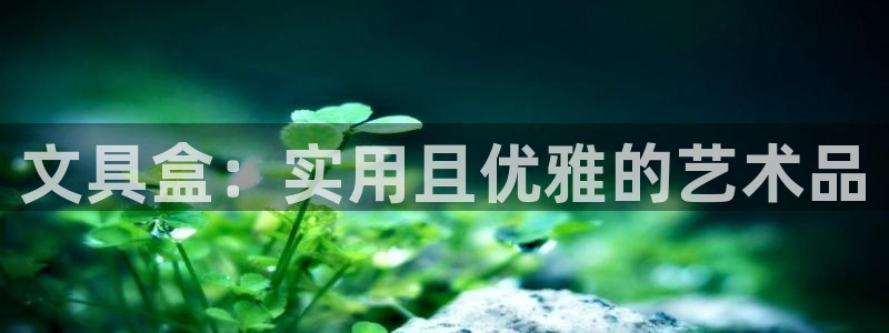 彩名堂计划怎么出的：文具盒：实用且优雅的