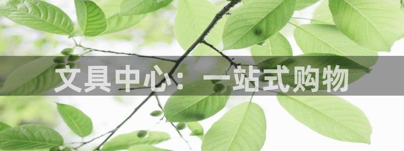 彩名堂开奖结果查询：文具中心：一站式购物