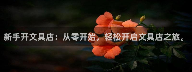 彩名堂免费计划使用方法：新手开文具店：从
