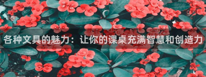 彩名堂最新免费计划官网：各种文具的魅力：