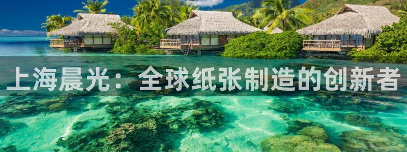 彩名堂计划怎么打不开了：上海晨光：全球纸