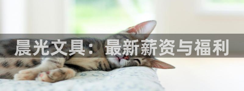 彩名堂怎么打最稳：晨光文具：最新薪资与福
