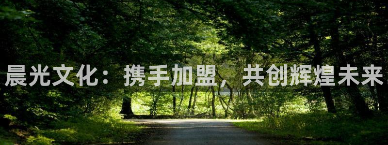 彩名堂客服：晨光文化：携手加盟，共创辉煌