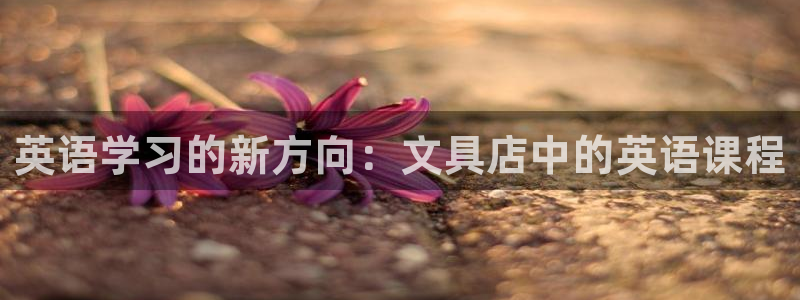 如何进入彩名堂官网更新：英语学习的新方向