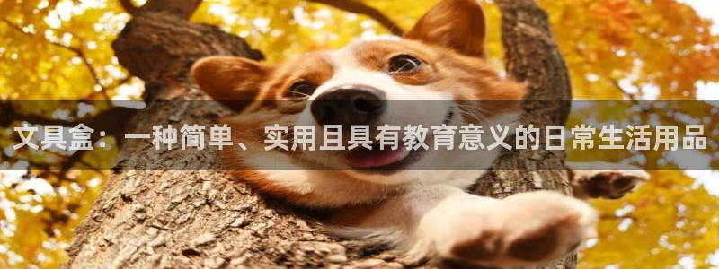 彩名堂最新版www：文具盒：一种简单、实
